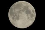 Vollmond 21.08.2013