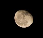 Mond 20.12.2013