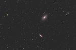 M81- Gruppe