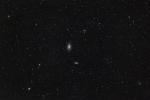 M81 + M82 + NGC3077 (2)