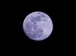 Mond DXO