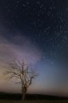 Startrails_II