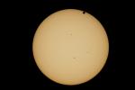 Venustransit 6