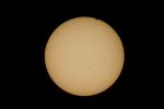 Venustransit 7