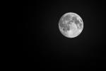 Mond 09.08.2014