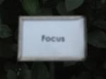 Focus-Problem