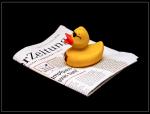 Zeitungs - Ente