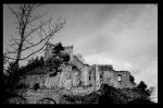 Burgruine s/w