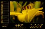 Kalender 2008 - März by webcruiser