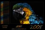 Kalender 2008 - Juni by webcruiser