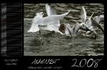 Kalender 2008 - August by webcruiser