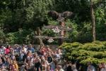 Flugshow in der Kiekemal Waldbühne